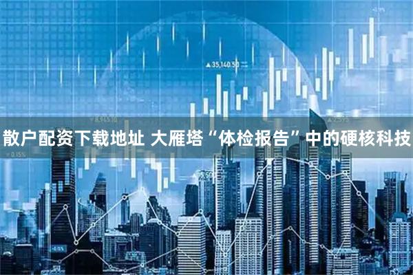 散户配资下载地址 大雁塔“体检报告”中的硬核科技